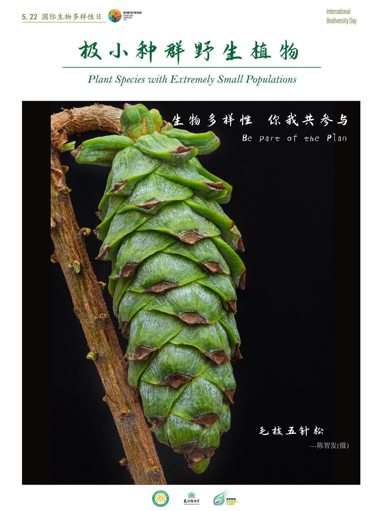 極小種群海報(bào)_畫板 1.jpg